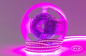 Fita Led Alta Potência 240 Led 5 MT ROSA 3528 12v 5m